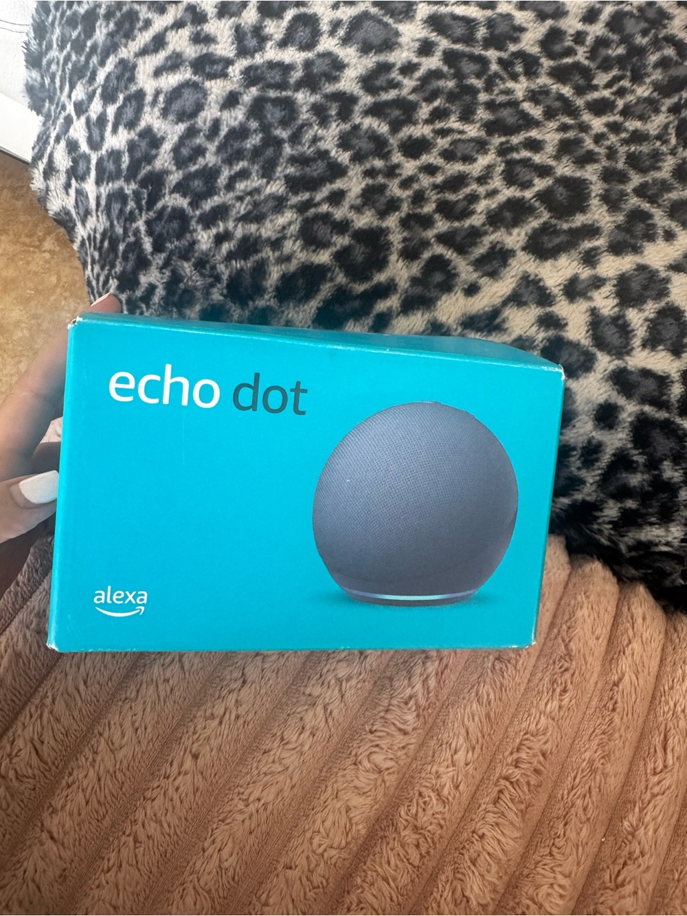 Amazon Echo Dot Smart Speaker - Teal Box with Gray Device